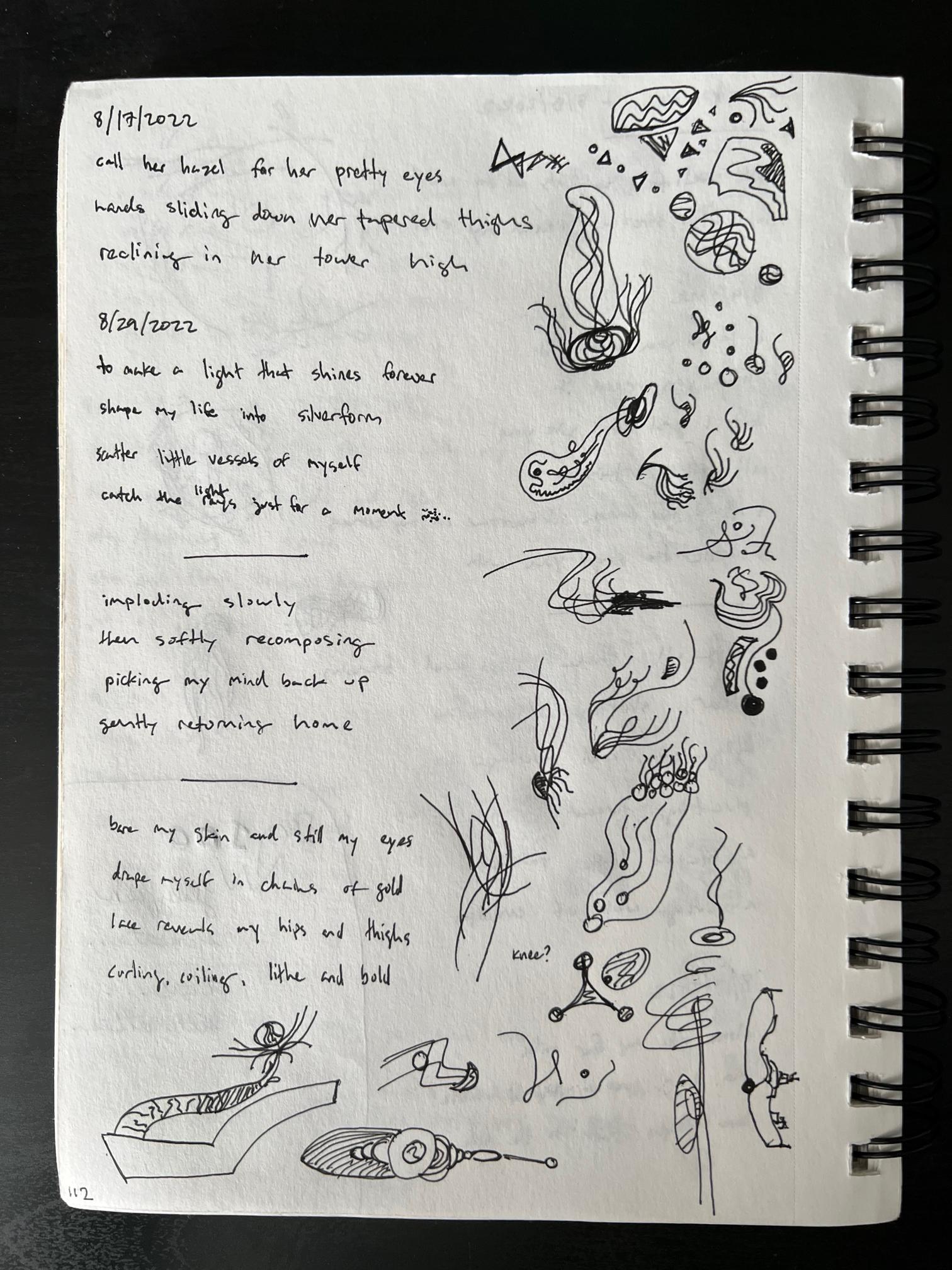 photo of sketchbook page 112