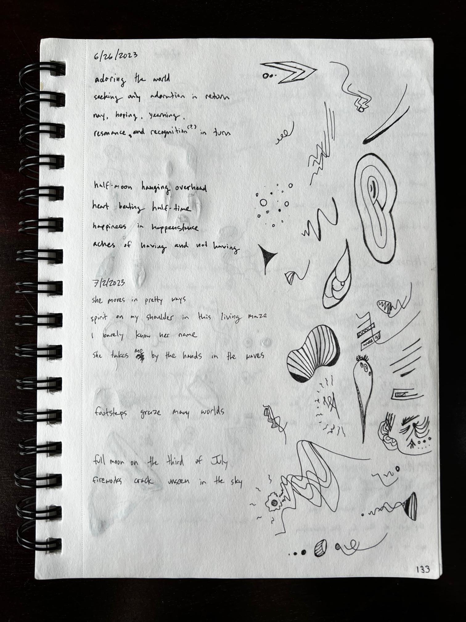 photo of sketchbook page 133